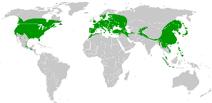 Διασπορά ανα τον πλανήτη πηγή wikipedia
