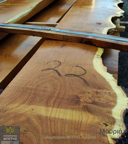 Ξύλο Μουριάς ΜΠΙΤΗΣ