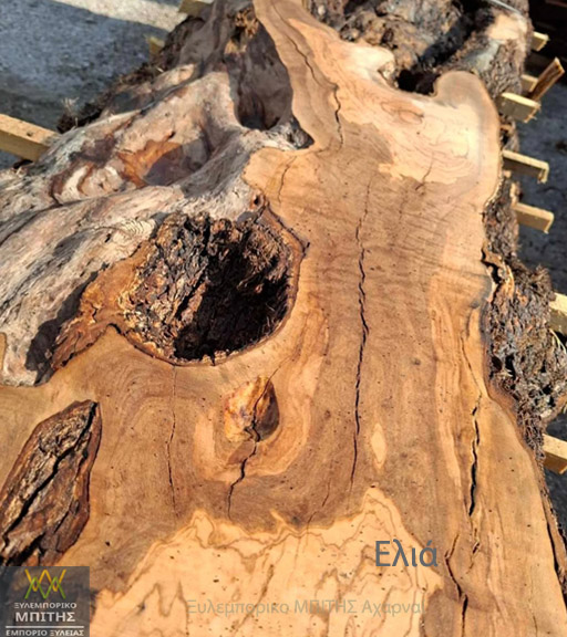 Ξυλεία ελιάς για έπιπλα