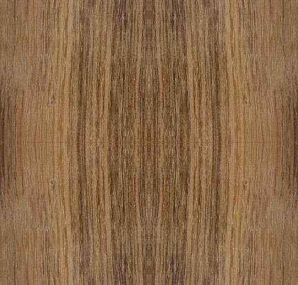 Bg acacia melanoxylon